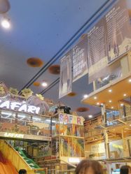 -卡通尼·Safari非洲探索乐园·生日会(金桥国际商业广场店)