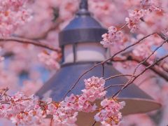 -静安雕塑公园