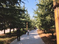 -法门文化景区