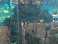 -鸿通城购物中心