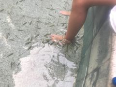 -碧水湾温泉