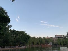 -莲湖公园