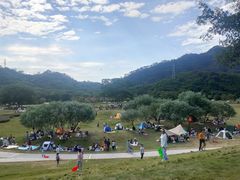 -风云岭森林公园