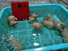 -渔傅·蓝海岸霞浦海鲜(正祥店)