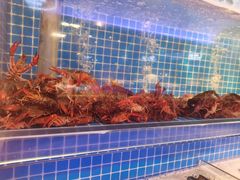 水产区-乔哥铭洋海鲜自助(皇城恒隆广场店)