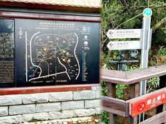 -莆田湄洲妈祖祖庙