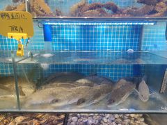 -前王院•巧克力海鲜市集餐厅(万平口店)