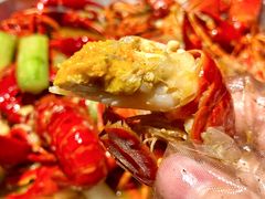 -沪小胖小龙虾(淮海中路旗舰店)