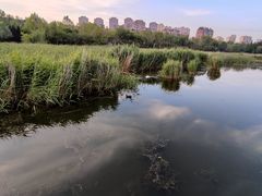-前关湿地公园