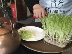 -盡膳口福·百年汤方火锅(科华北路店)