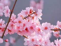 -静安雕塑公园
