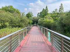 -上海吴淞炮台湾国家湿地公园