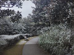 -黄兴公园
