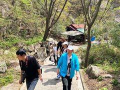 -王顺山国家森林公园