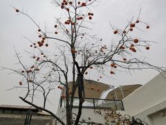 -素心小筑(后沙裕镇店)