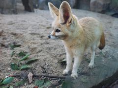 -上海野生动物园