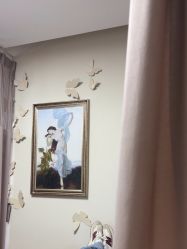 -四川米兰柏羽医学美容医院
