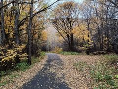 -洮儿河国家湿地公园