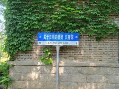-渡海小渔村.老辈日照菜