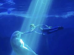 -海合安武汉极地海洋公园