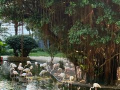 -香港皇家太平洋酒店