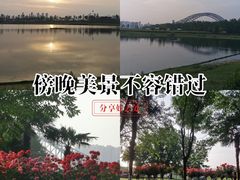 -汉水公园