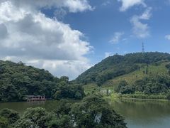 -广州市石门国家森林公园