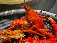 -红盔甲·小龙虾(长寿路店)