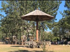 -大连森林动物园