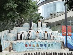 -重庆欢乐海底世界