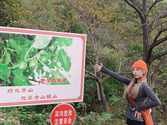-大岭沟猕猴桃谷风景区