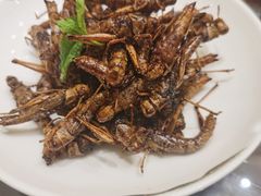 -燕春楼(海河华鼎店)