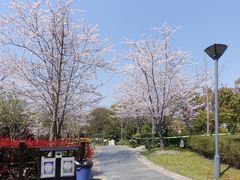 -自然谷恐龙园