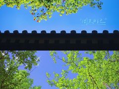 -西安大兴善寺