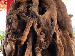 -溪口-滕头旅游景区