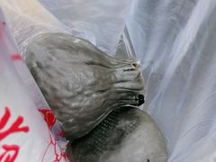 -旺福楼·包点(碑亭巷店)