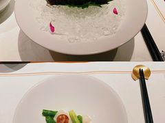 -觀芷隐轩