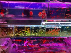 -双季花艺园艺市场(浦东店)