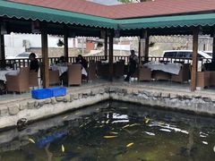 -京北渔家傲
