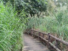-成都市活水公园
