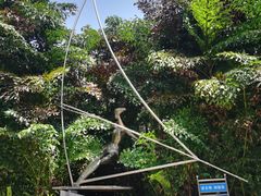 -北海市海滨公园