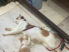 -老丘丘(较场口店)