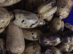 -海吉星国际农产品物流管理有限公司