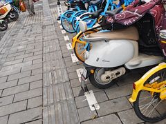 -湖锦酒楼·旗舰店(三阳总店)