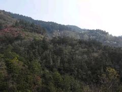 -木兰云雾山