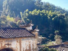 -杨家堂村