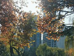 -木塔寺遗址生态公园
