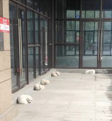 -Oasis Beauty水磨坊科技美肤中心