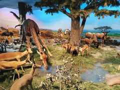 -国家自然博物馆