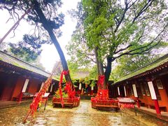 -少华山国家森林公园